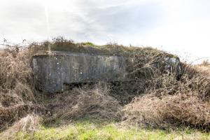 Ligne Maginot - SALWIESE 3 - (Blockhaus pour arme infanterie) - 