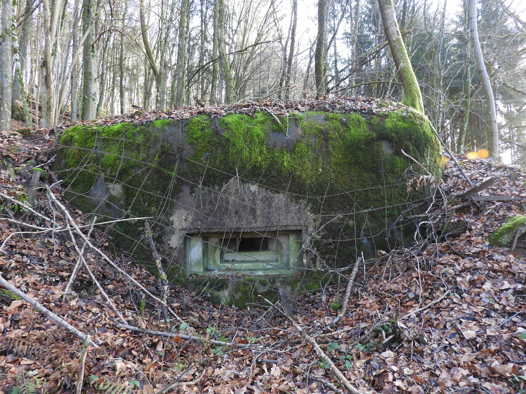 Ligne Maginot - FROHMUEHL SUD - (Blockhaus pour arme infanterie) - La façade de tir. Noter la présence du grillage de camouflage.