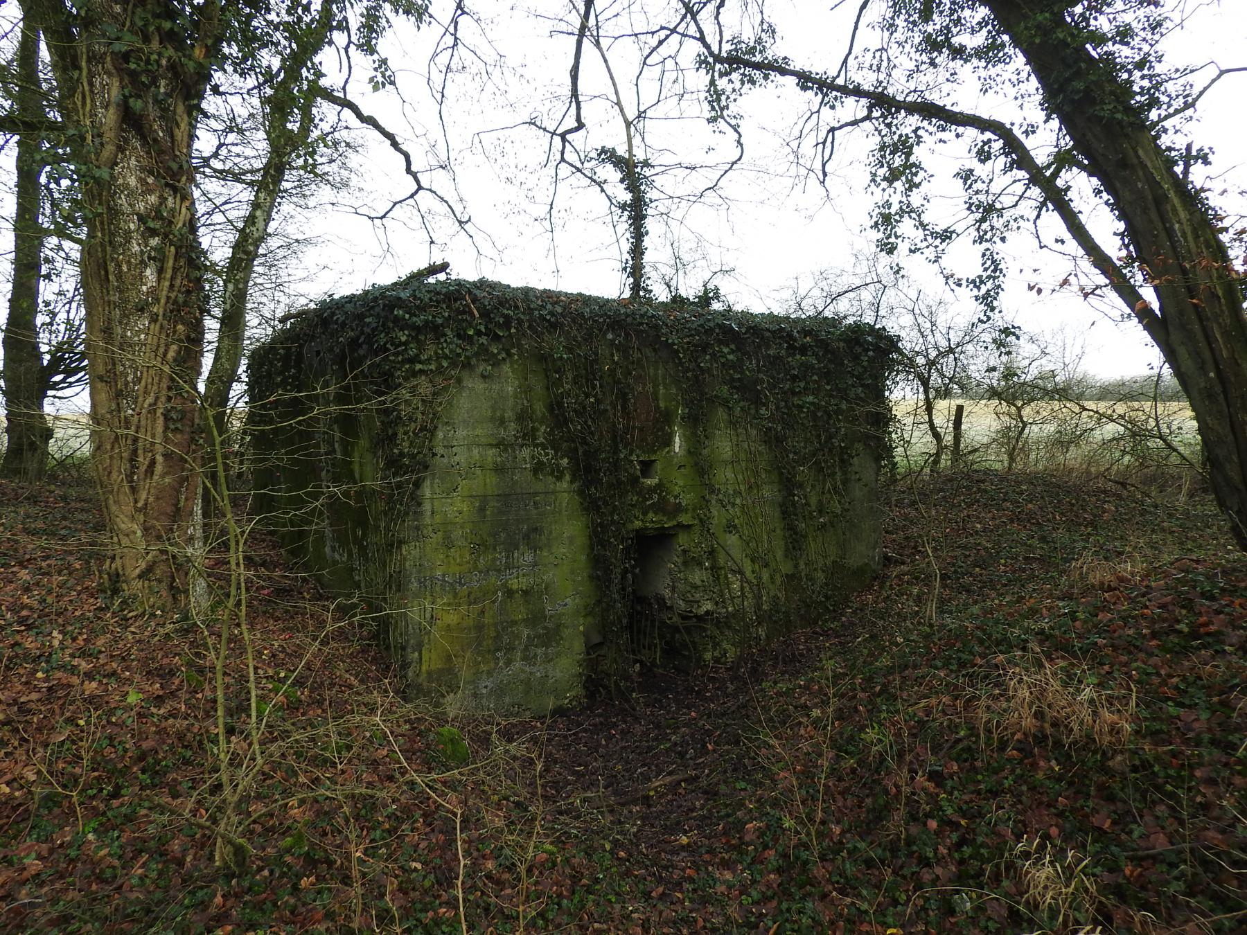 Ligne Maginot - BB21-D - GRESSES WALD - (Blockhaus pour arme infanterie) - L’entrée du blockhaus