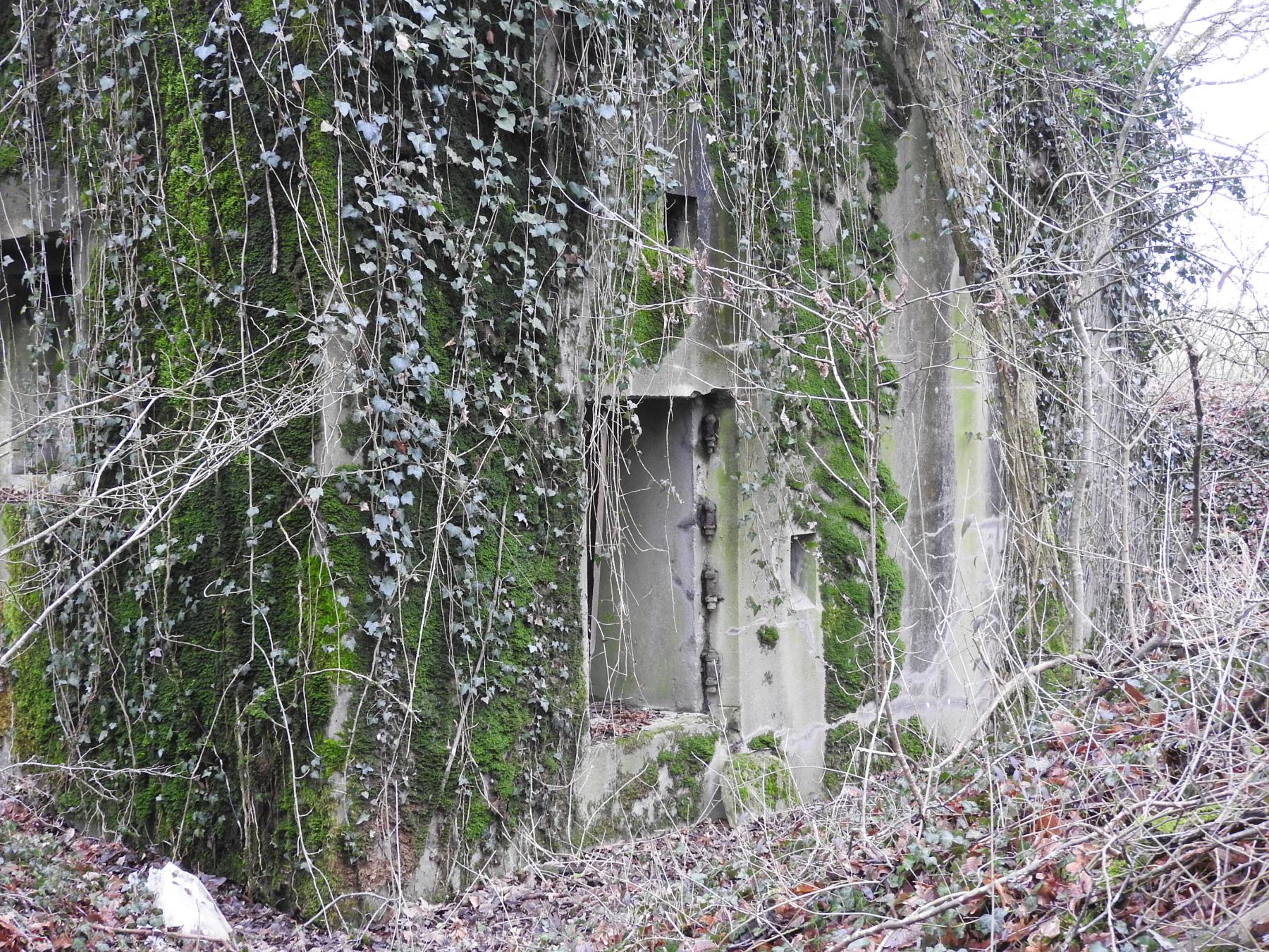 Ligne Maginot - STUDEN - SUZANNE - (Blockhaus pour arme infanterie) - L'entrée du blockhaus.