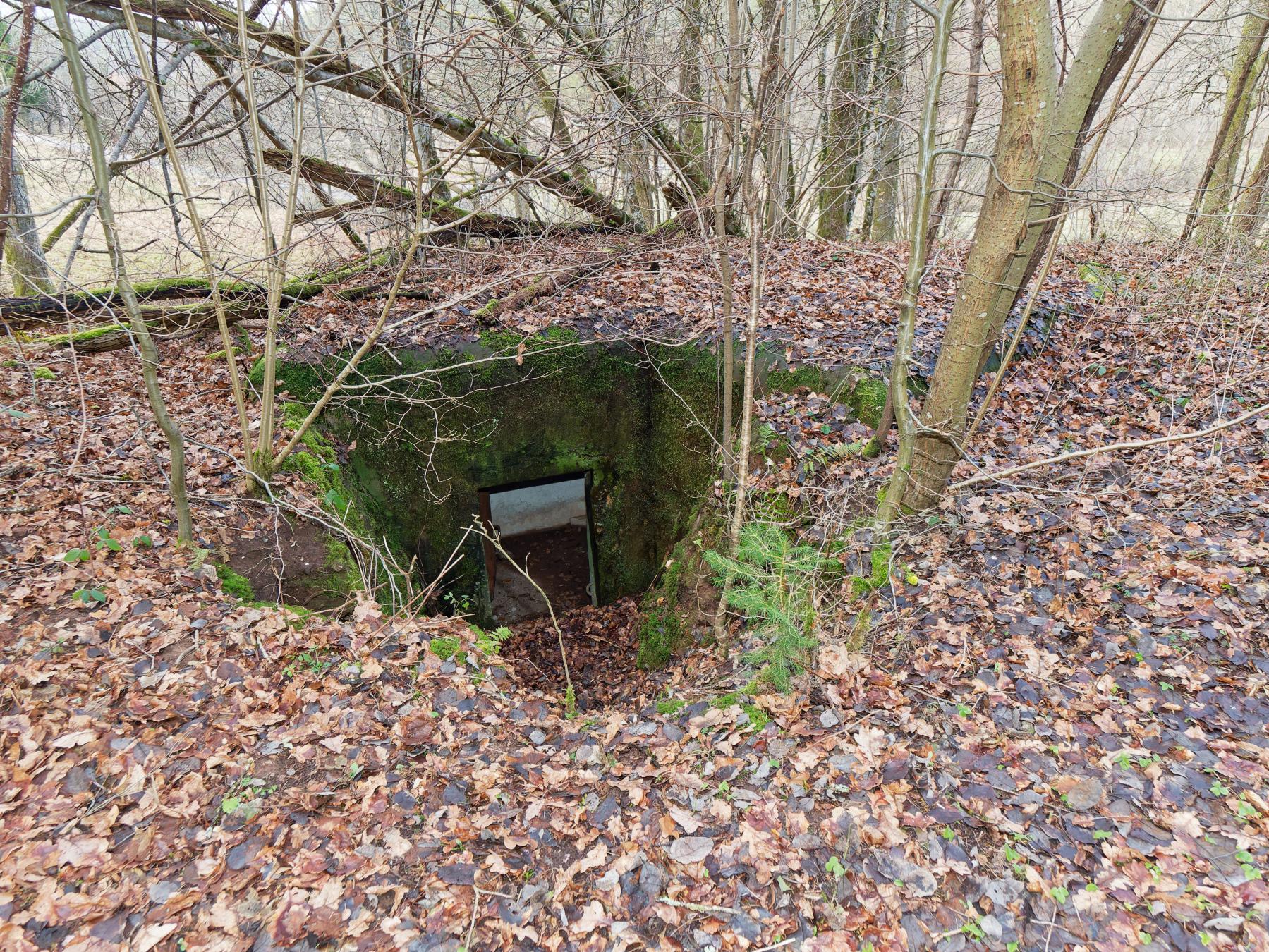 Ligne Maginot - NEUWEIHER 2 - (Blockhaus pour arme infanterie) - L'accès du blockhaus