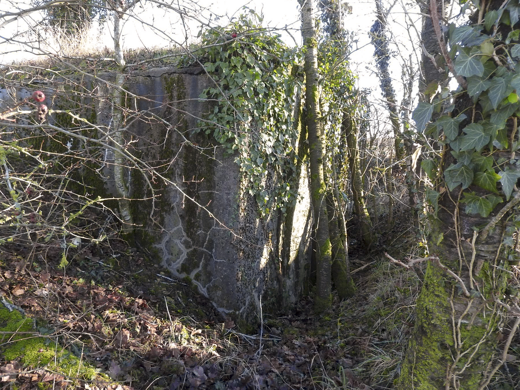 Ligne Maginot - SCHLANGENSTUCK 3 - (Blockhaus pour arme infanterie) - La façade arrière