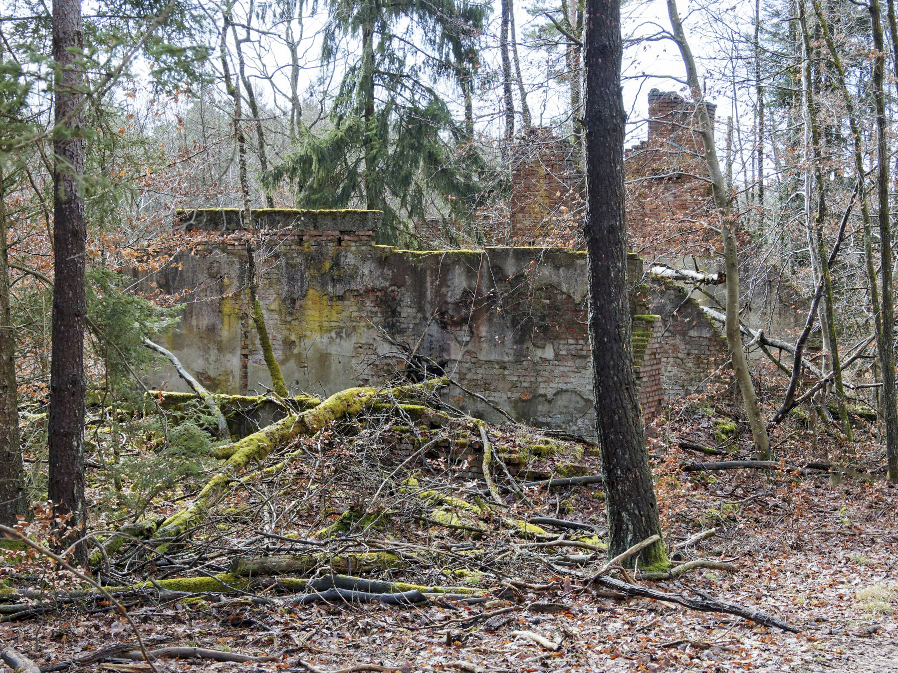 Ligne Maginot - BIESENBERG - (Casernement) - Les ruines du casernement