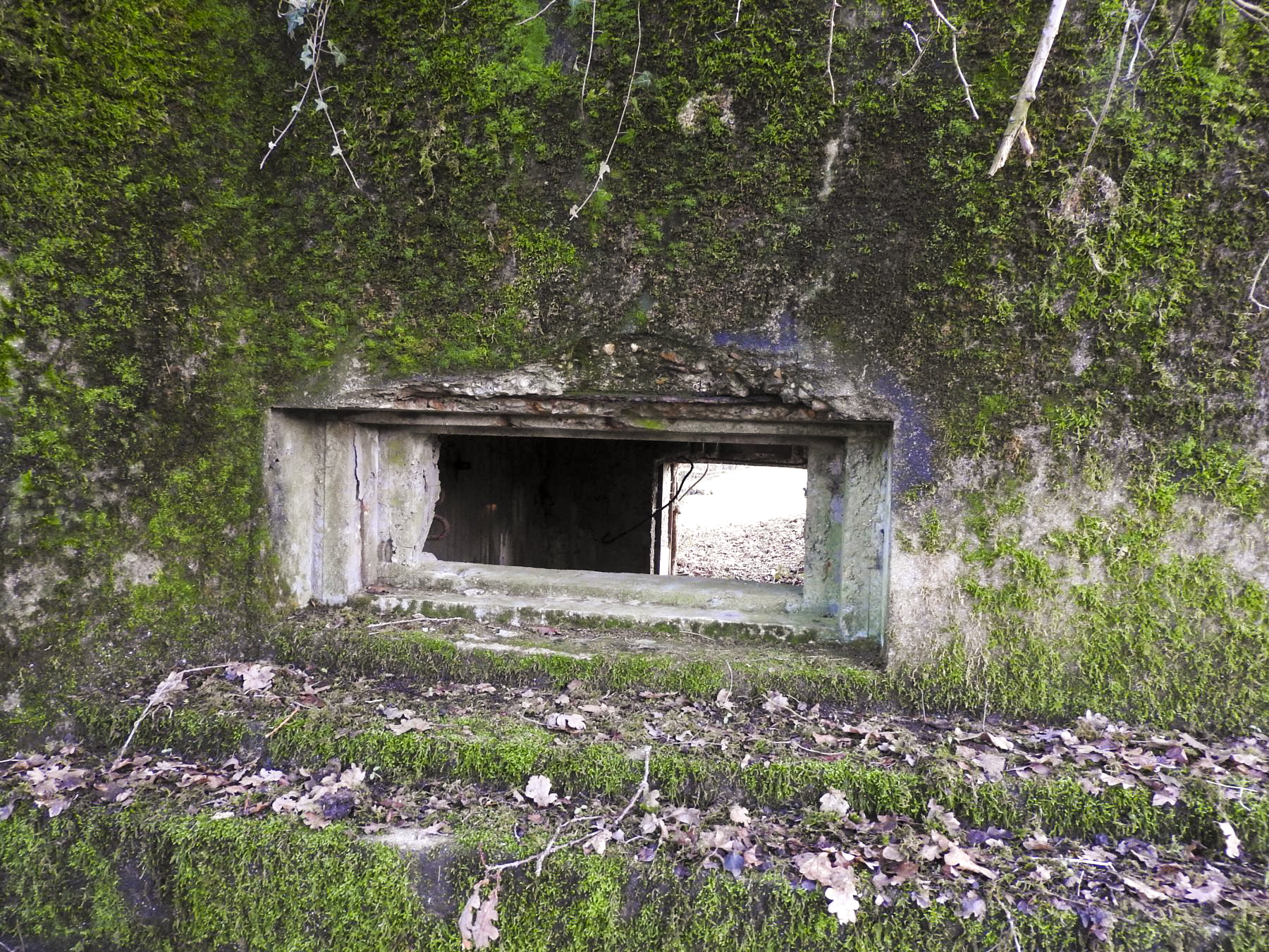Ligne Maginot - AB29-C - BOIS DU CASTEL - (Blockhaus pour canon) - L'embrasure de tir du canon.