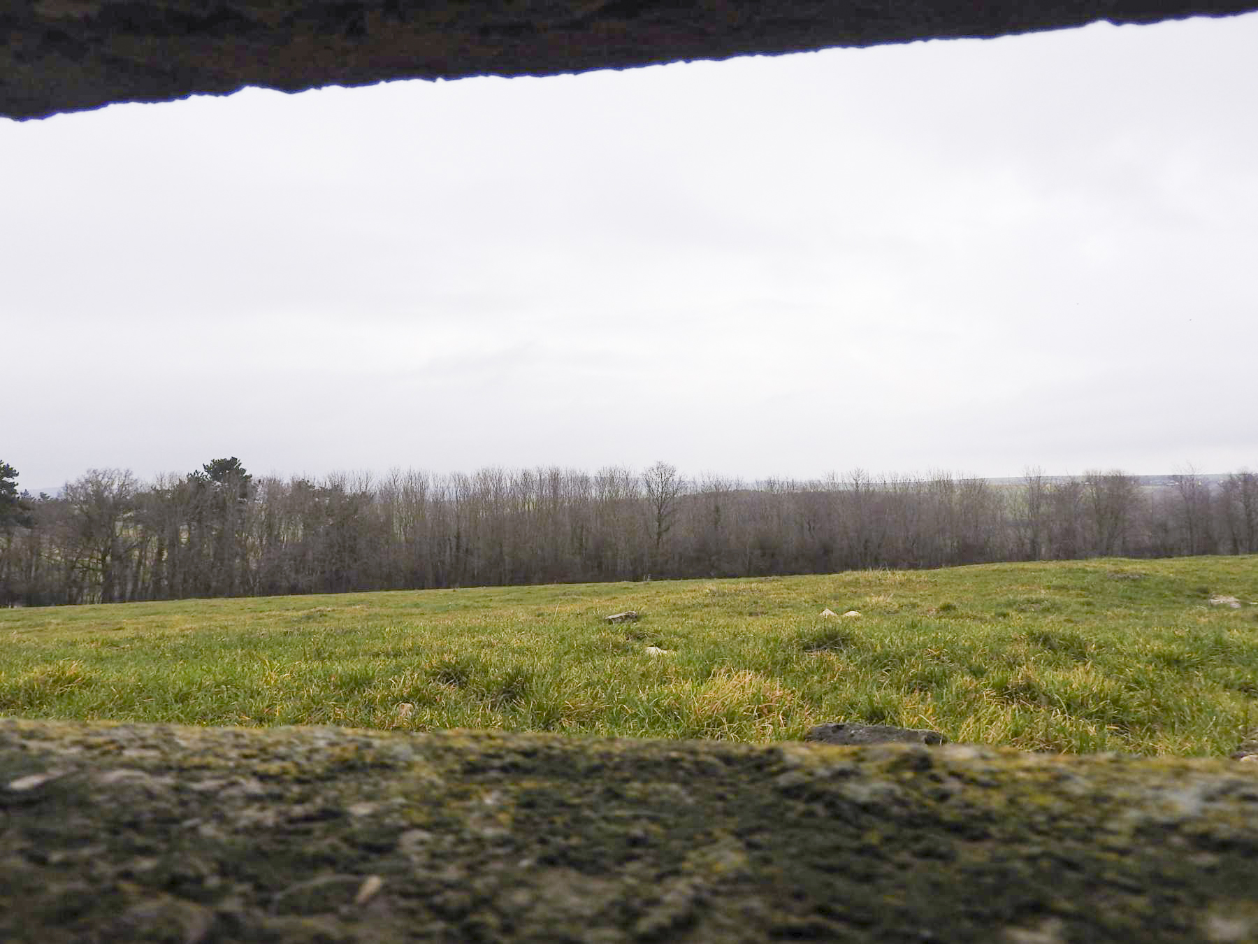 Ligne Maginot - BB17 - FERME HENRY SUD - (Observatoire d'artillerie) - La vue depuis l'observatoire.