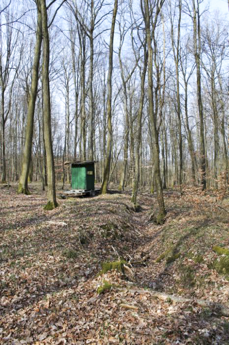 Ligne Maginot - SCHLOSSWALD 6 - (Observatoire d'infanterie) - Les alentours
