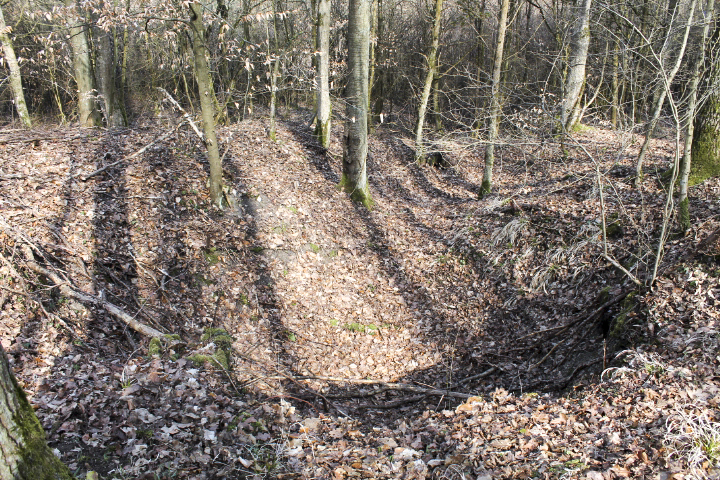 Ligne Maginot - SCHLOSSWALD 6 - (Observatoire d'infanterie) - Cagna