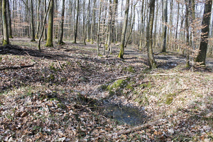 Ligne Maginot - SCHLOSSWALD 6 - (Observatoire d'infanterie) - Nid de mitrailleuse