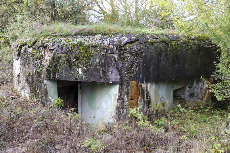 Ligne Maginot - SCHWANDELWALD 1 - (Blockhaus pour arme infanterie) - Vue de la voie ferrée