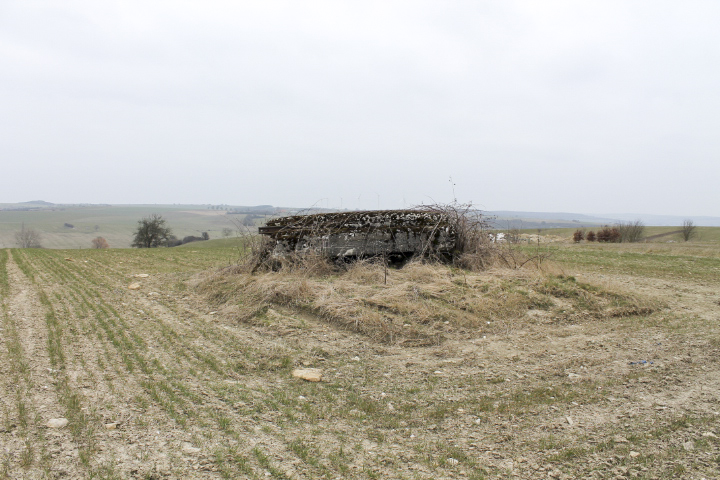 Ligne Maginot - COTE 321 - (Observatoire d'infanterie) - Façade d'observation