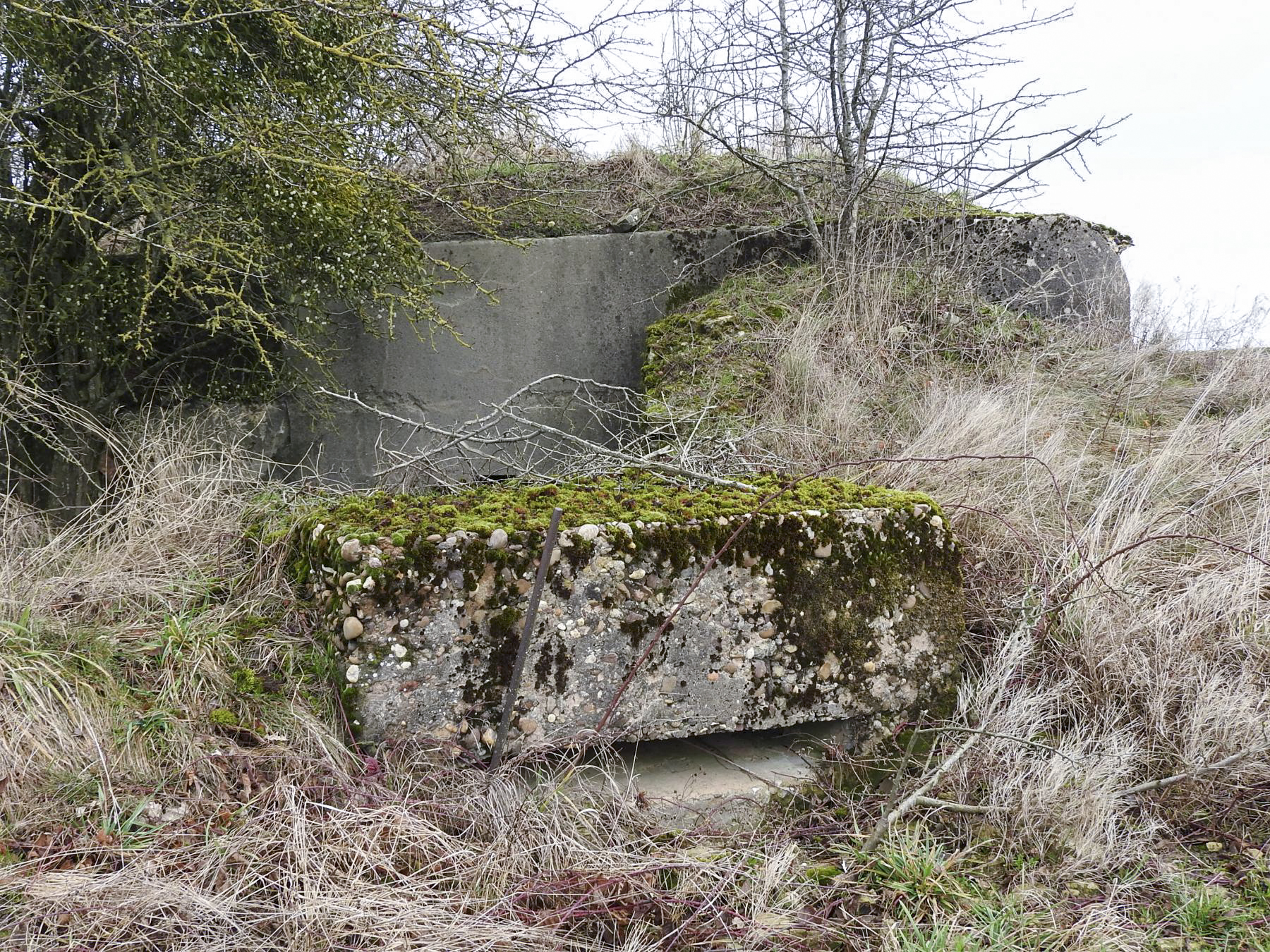 Ligne Maginot - BB25 - HEIMSTOCK EST 6 - MARCELLE - (Blockhaus pour arme infanterie) - Une petite extension pour FM devant l'entrée du blockhaus.