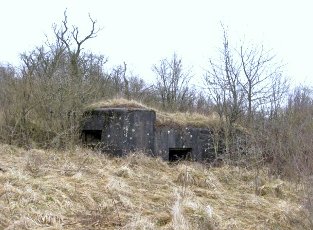 Ligne Maginot - DIEDING 2 (AVANT POSTE) - (Blockhaus pour canon) - Vue générale