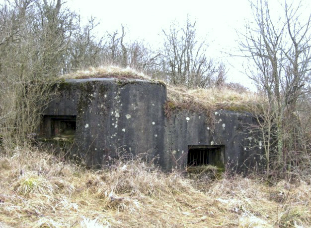 Ligne Maginot - DIEDING 2 (AVANT POSTE) - (Blockhaus pour canon) - Façade de tir