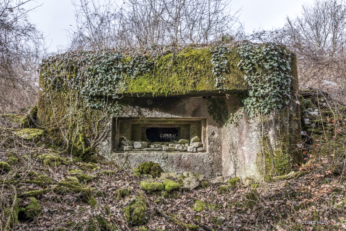 Ligne Maginot - GRAND BOIS 3 - (Blockhaus pour canon) - 