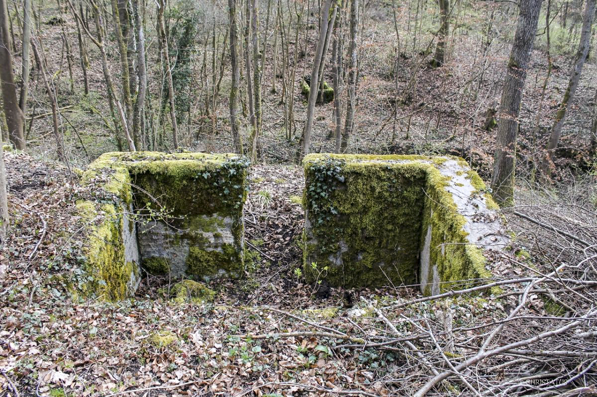 Ligne Maginot - GRAND BOIS 6 - (Cuve pour arme d'infanterie) - 