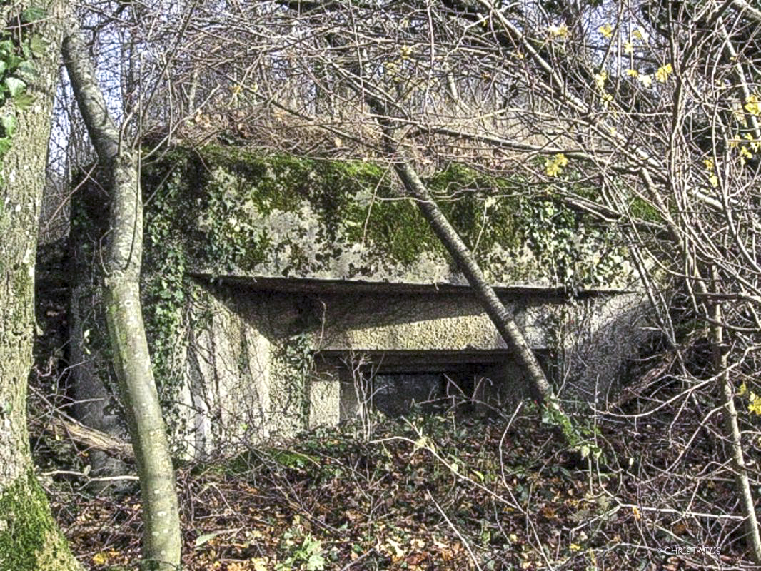Ligne Maginot - GROSSWALD 2 - (Blockhaus pour canon) - 