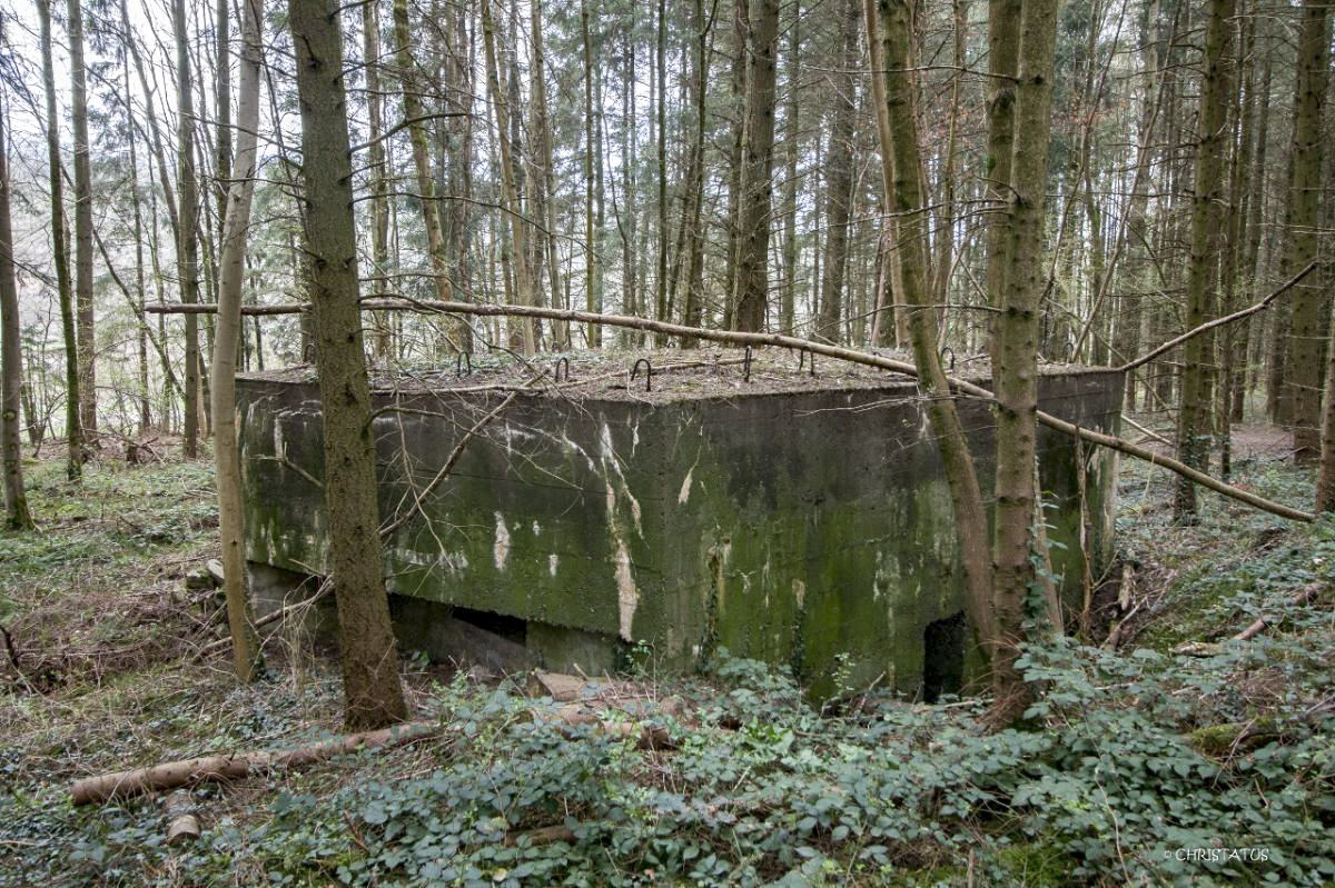 Ligne Maginot - GROSSWALD 3 - (Blockhaus pour arme infanterie) - 