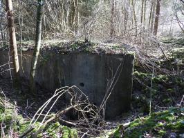 Ligne Maginot - MUEHLENBACH 3 - (Blockhaus pour canon) - L'entrée latérale pour personnel.