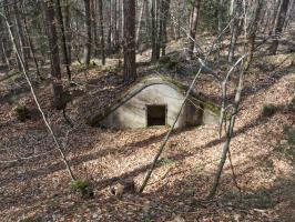 Ligne Maginot - NEUNHOFFEN - (Dépôt de Munitions) - L'abri à munitions est la seule structure restante