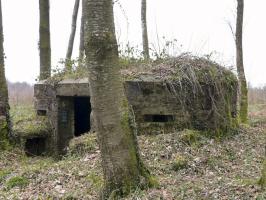 Ligne Maginot - BA14 - LA CANTINE NORD - (Blockhaus pour canon) - 
