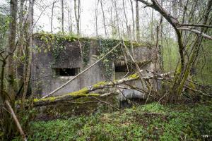 Ligne Maginot - A20 - PEUPLIER OUEST - (Blockhaus pour canon) - 
