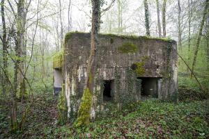 Ligne Maginot - A14 - LE CHARBONNIER - (Blockhaus pour canon) - 