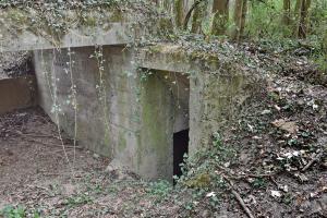 Ligne Maginot - VOGELSANG - (Position d'artillerie préparée) - Entrée d'abri ou de la soute de l'emplacement 3