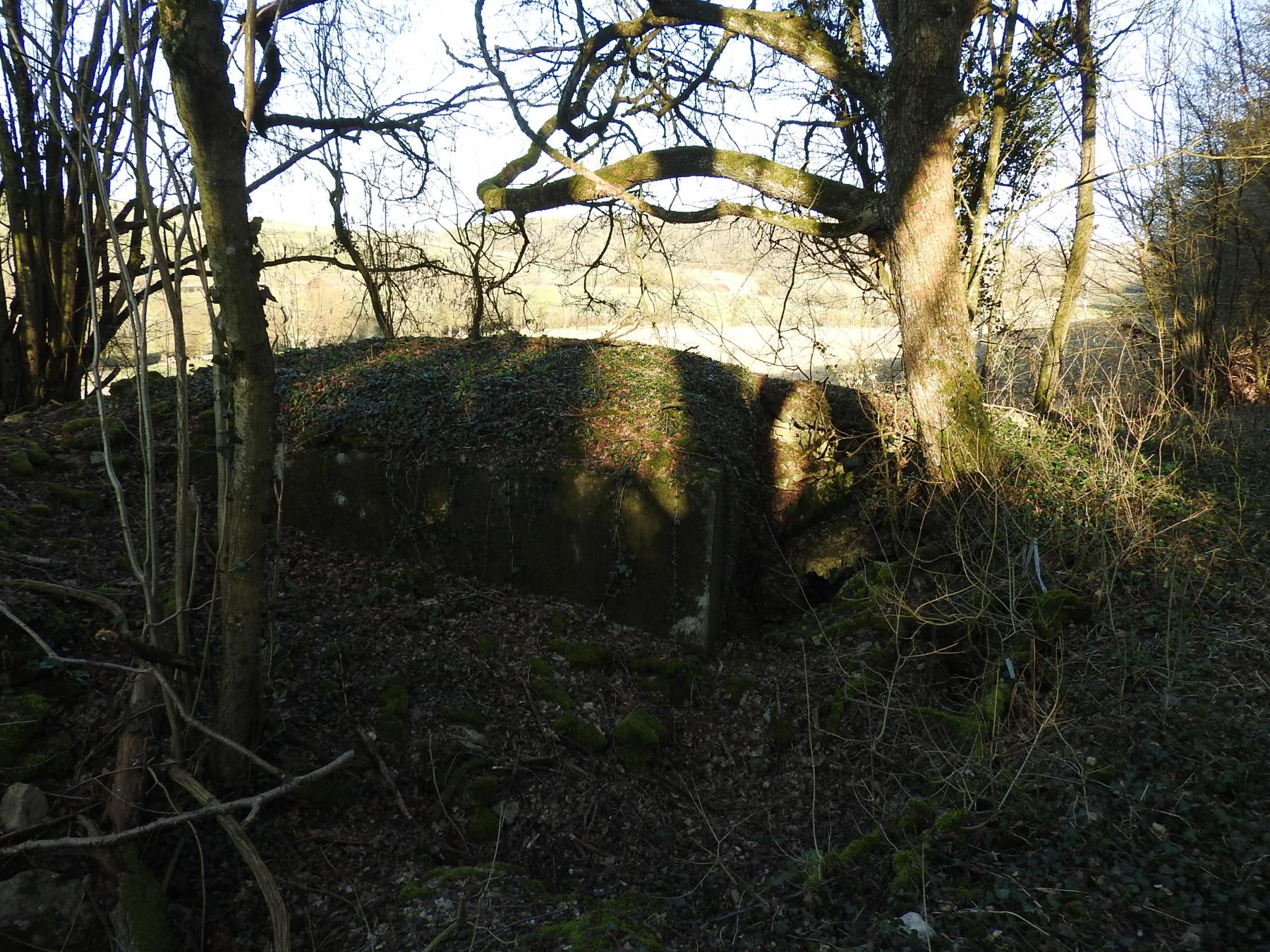Ligne Maginot - MUEHLENBACH 1 - (Blockhaus pour arme infanterie) - Le blockhaus en lisière de forêt.