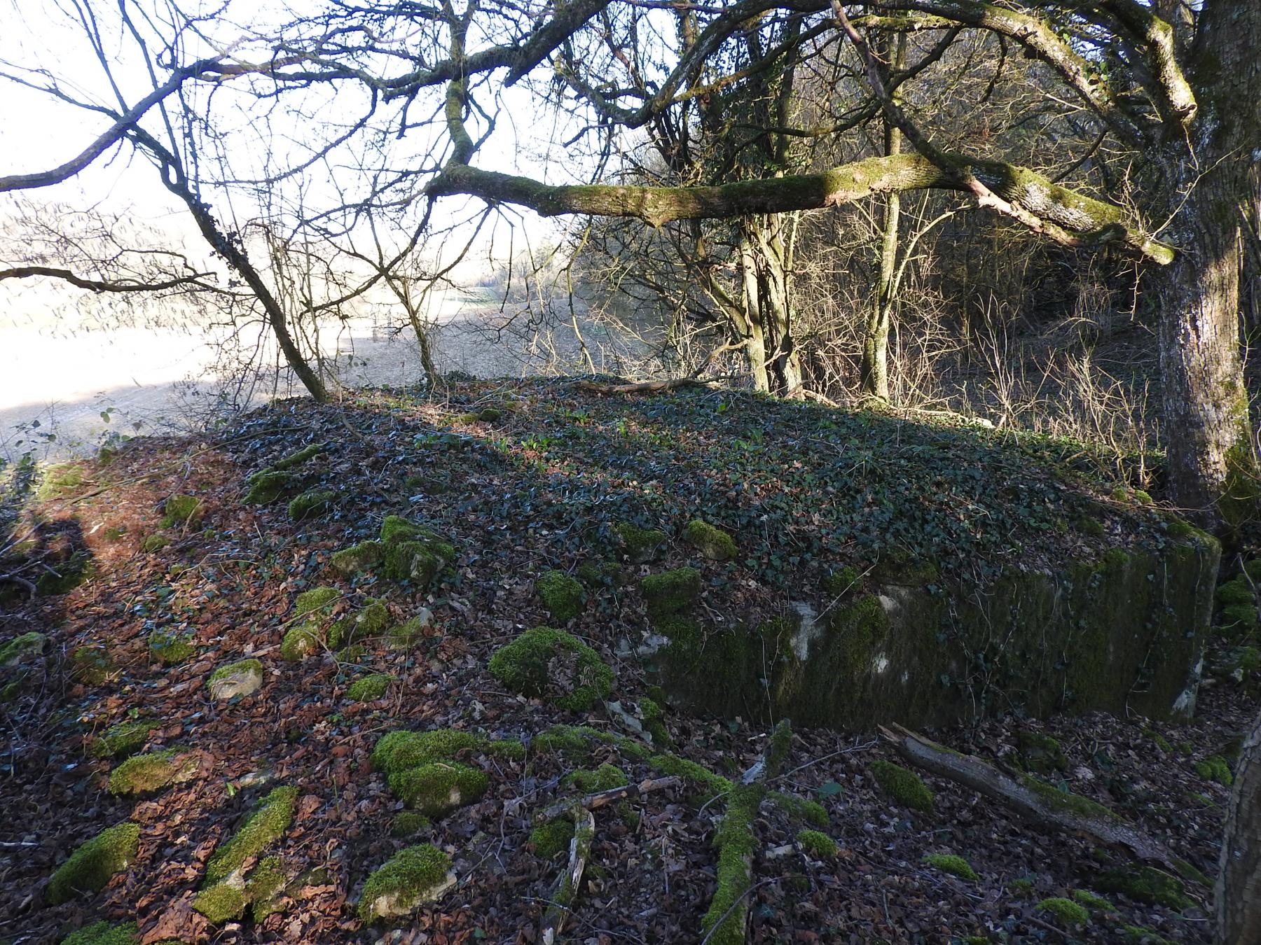Ligne Maginot - MUEHLENBACH 1 - (Blockhaus pour arme infanterie) - 