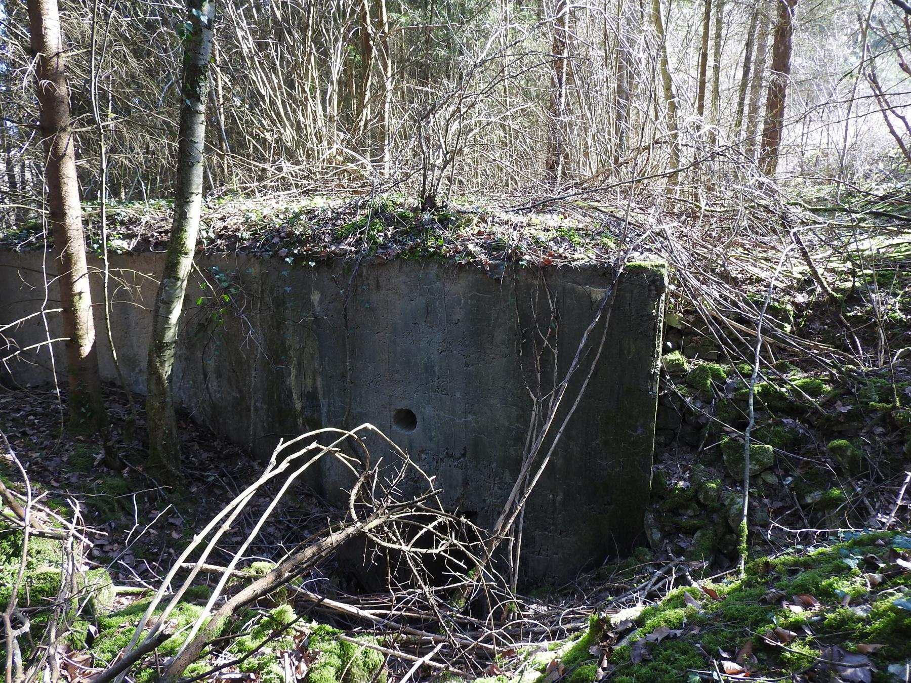Ligne Maginot - MUEHLENBACH 3 - (Blockhaus pour canon) - L'entrée latérale pour personnel.