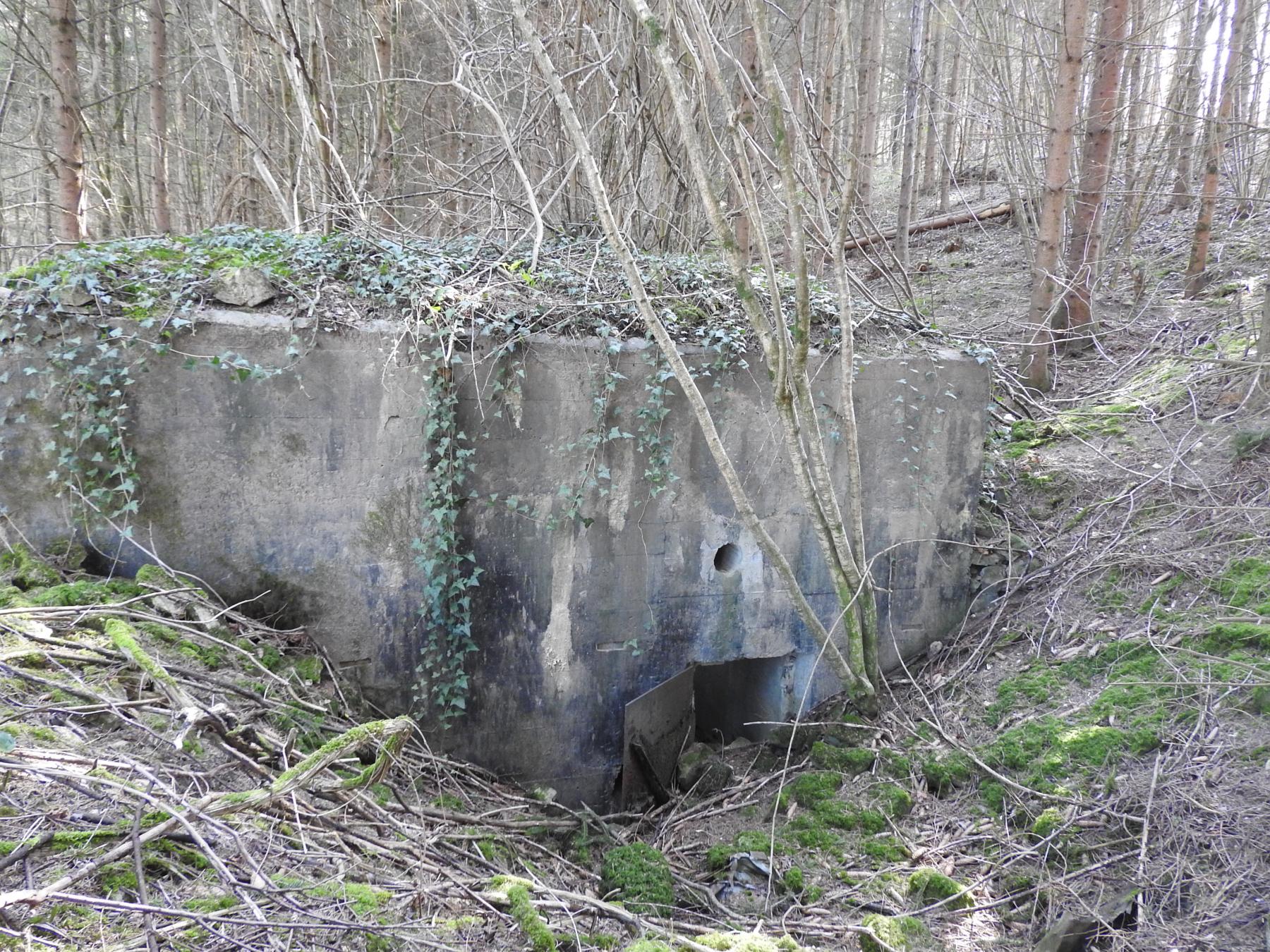 Ligne Maginot - MUEHLENBACH 4 - (Blockhaus pour canon) - L'entrée des hommes.