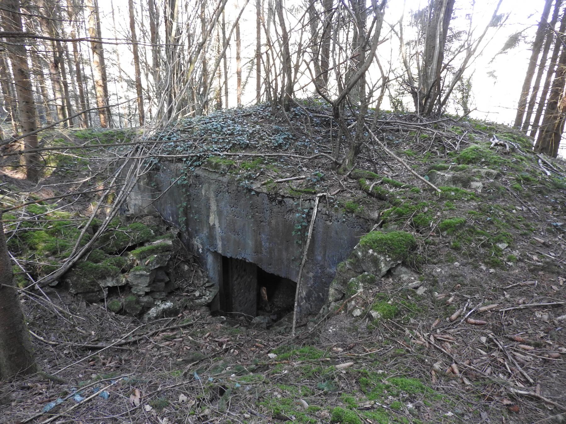 Ligne Maginot - MUEHLENBACH 4 - (Blockhaus pour canon) - L'entrée du canon.
