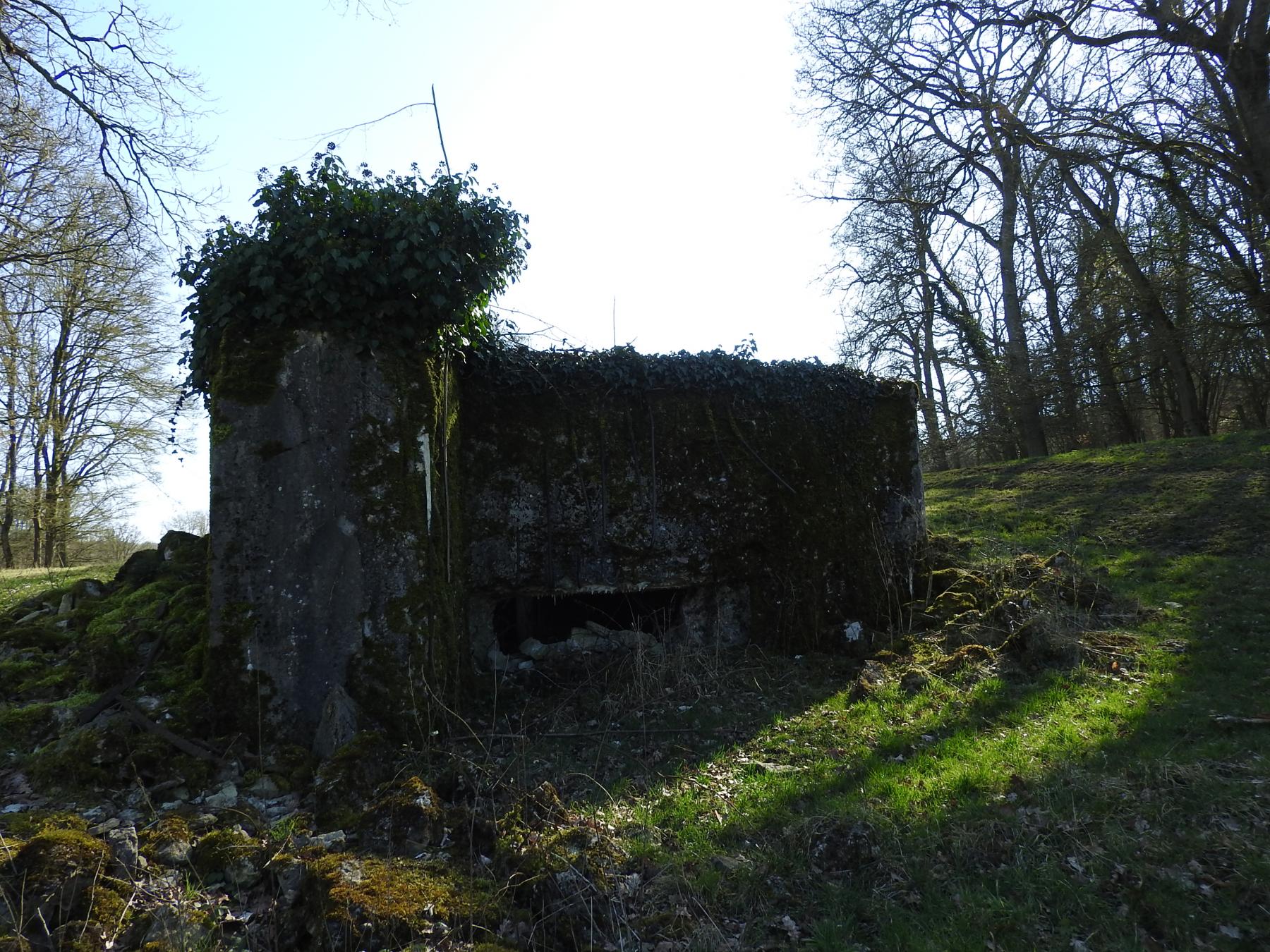 Ligne Maginot - MUEHLENBACH 6 - (Blockhaus pour canon) - La façade de tir vers le vallon du Muehlenbach.