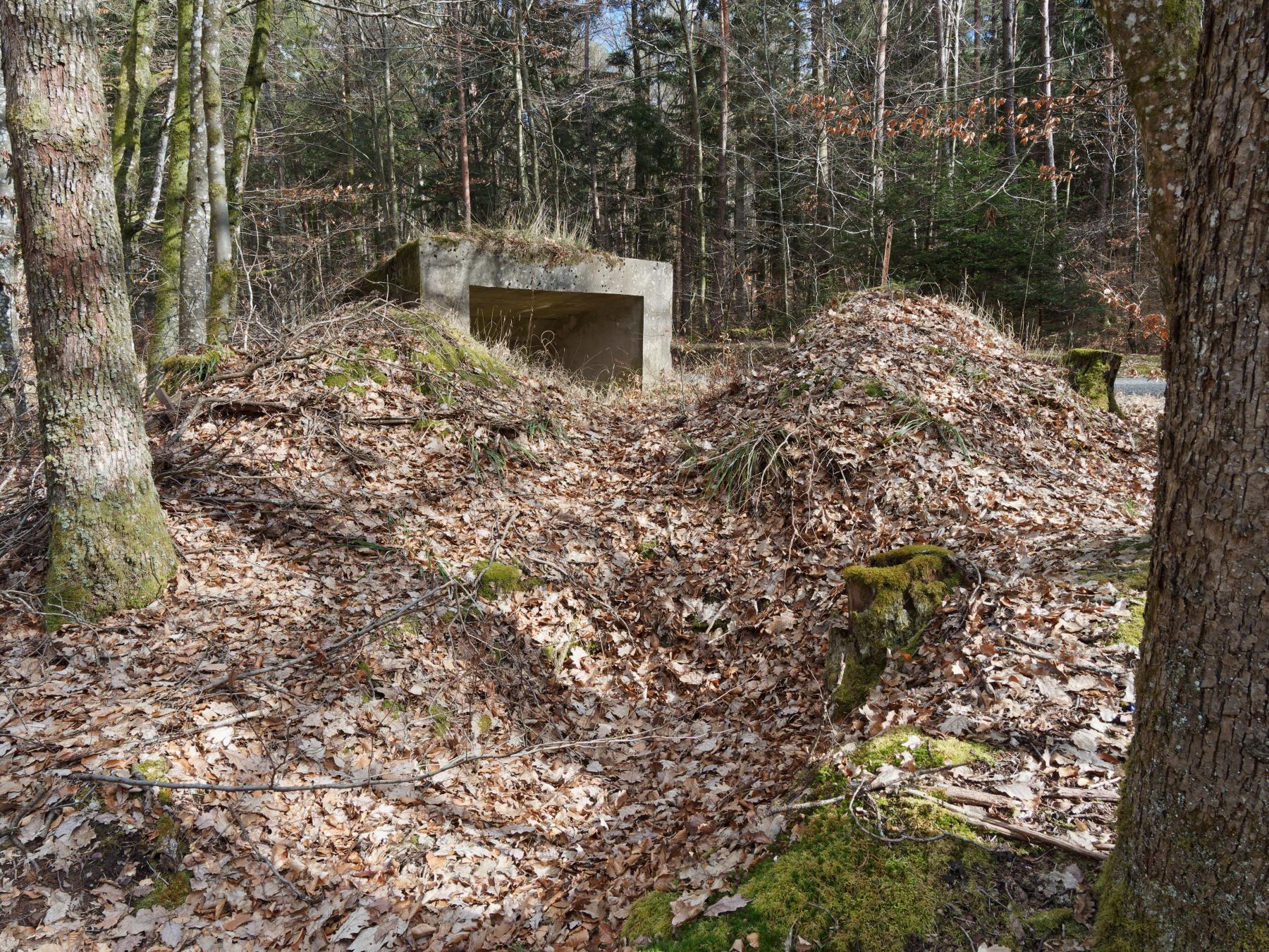 Ligne Maginot - WEIHERSTHAL NORD - (Blockhaus pour canon) - Système de tranchée desservant le bouclier