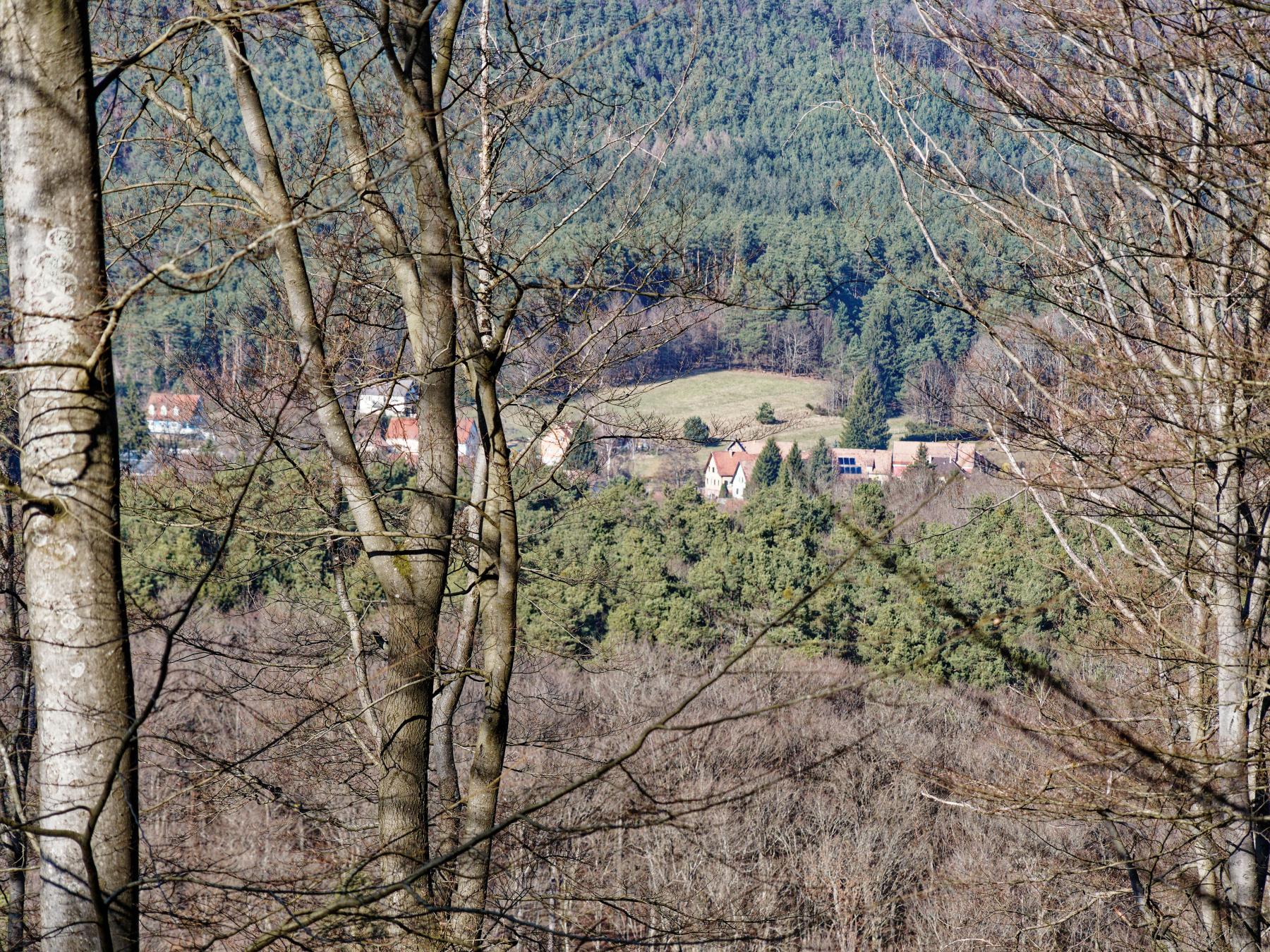 Ligne Maginot - WURZELKOPF - (Observatoire d'artillerie) - Aujourd'hui, la vue depuis l'observatoire n'est possible que pendant la saison sans feuilles 