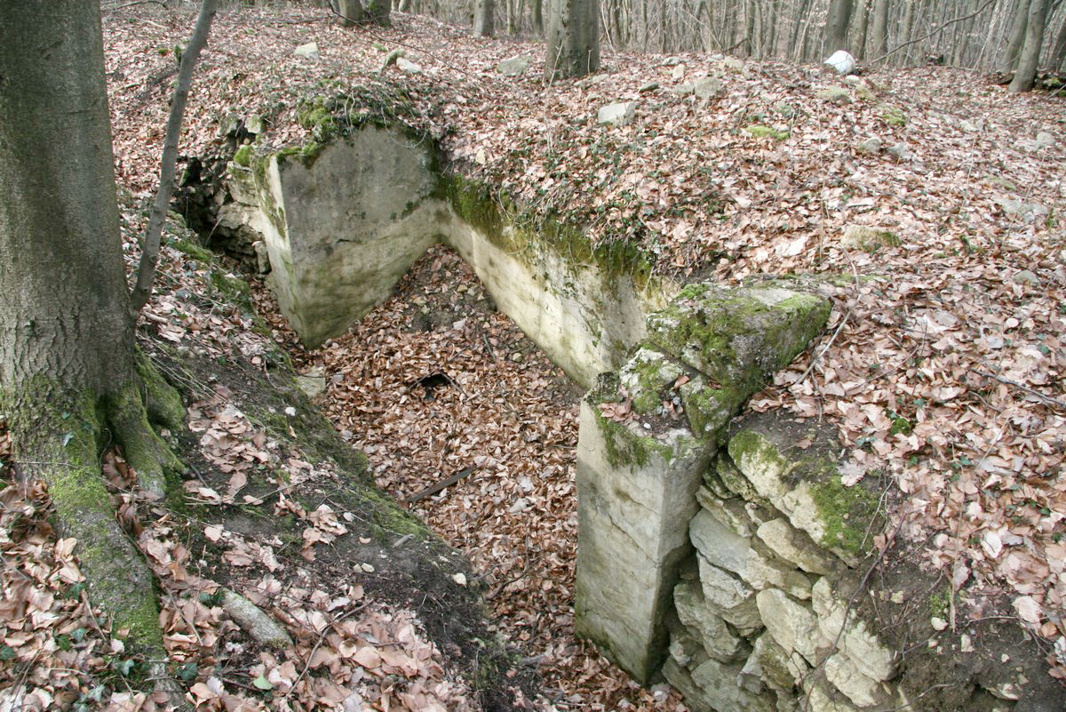 Ligne Maginot - GUNGLINGERBERG 8 - (Cuve pour arme d'infanterie) - Poste de tir d'infanterie bétonné
