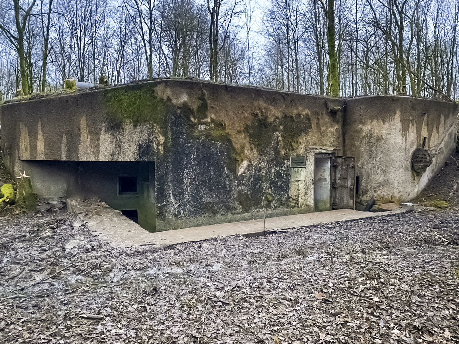 Ligne Maginot - BOIS DE KANFEN OUEST - C42 - (Casemate d'infanterie - Simple) - Début des rénovations par l'association les loups de la Moselle