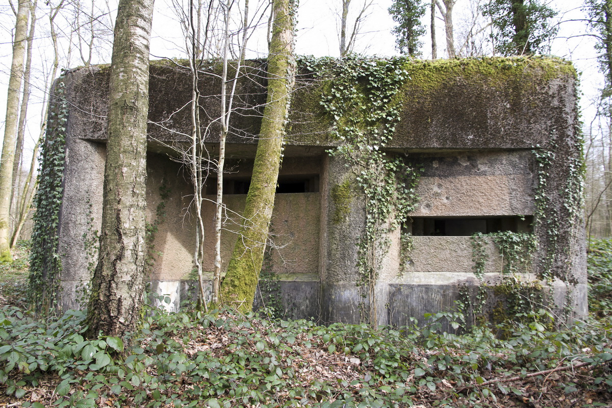Ligne Maginot - A2 - MACQUENOISE NORD - (Blockhaus pour canon) - 
