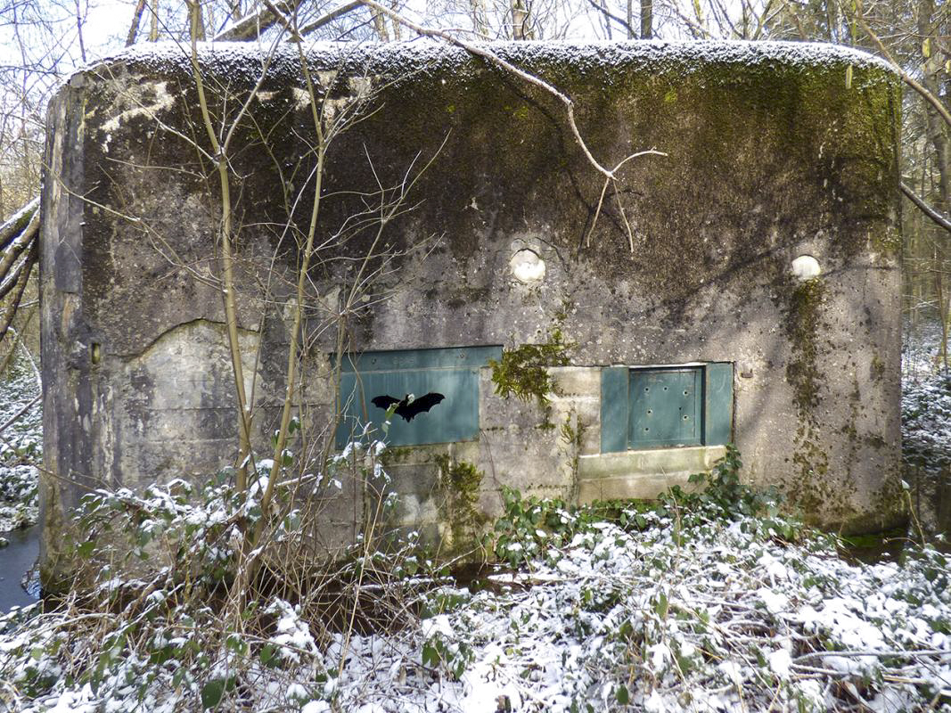 Ligne Maginot - A3 - MACQUENOISE SUD - (Blockhaus pour canon) - 