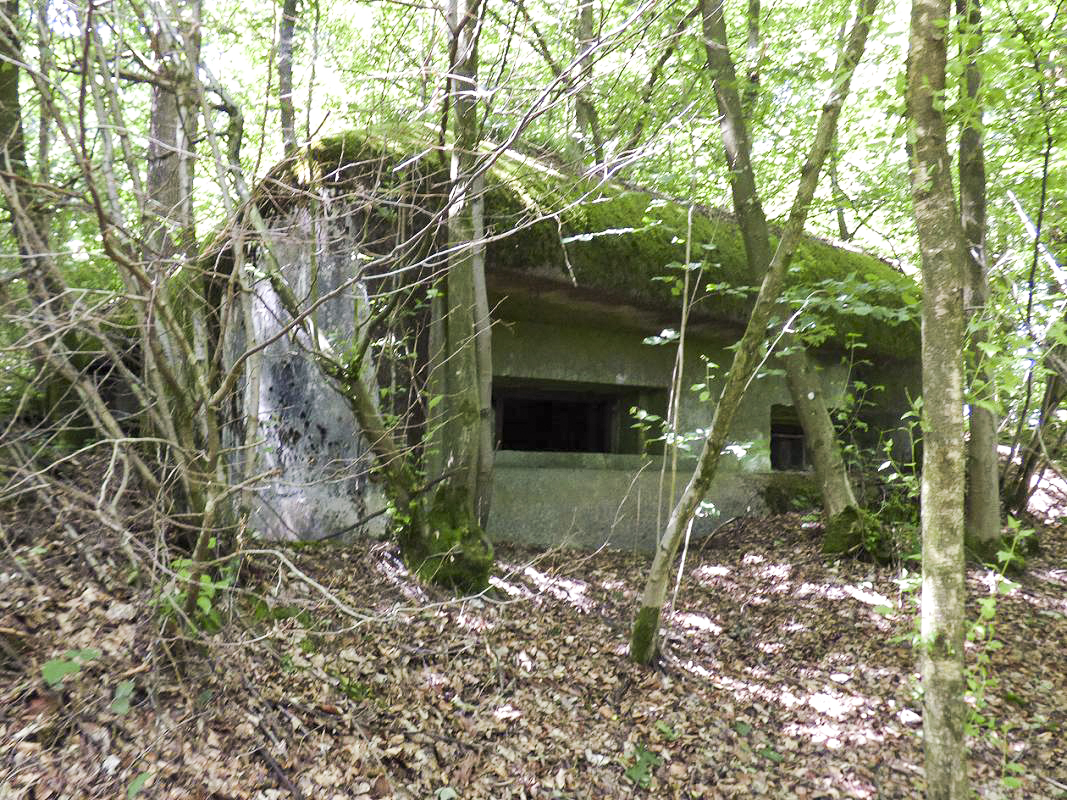 Ligne Maginot - BA6 - LA LOBIETTE - (Blockhaus pour canon) - 