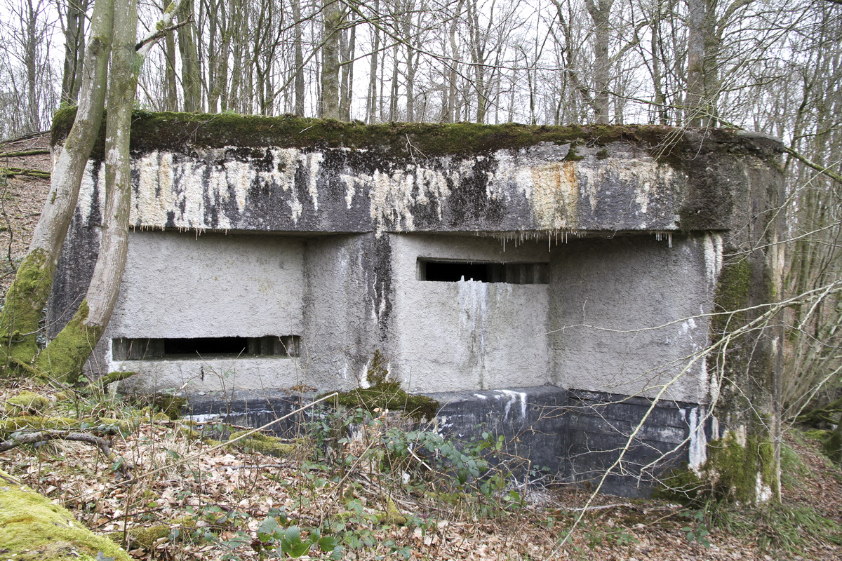 Ligne Maginot - LE GLACIS BAS - (Blockhaus pour canon) - 