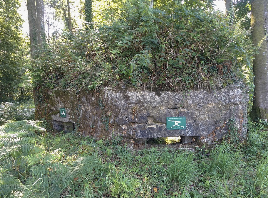 Ligne Maginot - BA14 - LA CANTINE NORD - (Blockhaus pour canon) - 