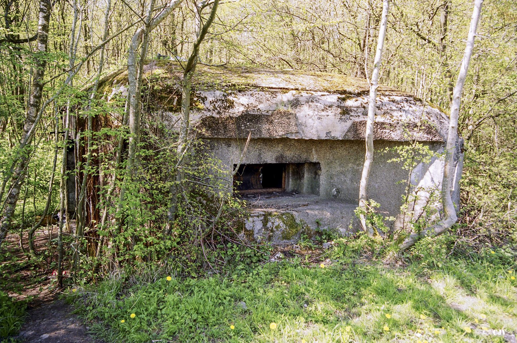 Ligne Maginot - B761 - ROUTE D'EPPE SAUVAGE - (Blockhaus pour canon) - 