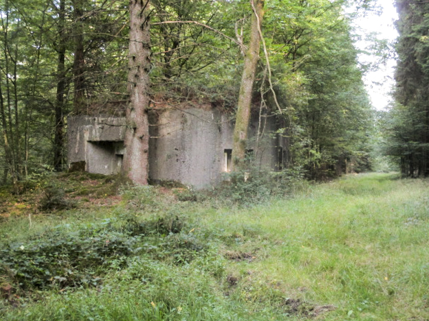 Ligne Maginot - B760 - CARREFOUR GRAMMONT - (Blockhaus pour canon) - Blockhaus situé dans son environnement.