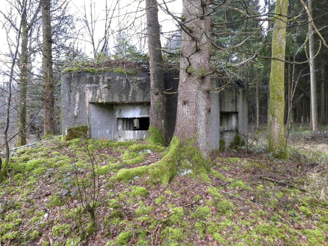 Ligne Maginot - B760 - CARREFOUR GRAMMONT - (Blockhaus pour canon) - 
