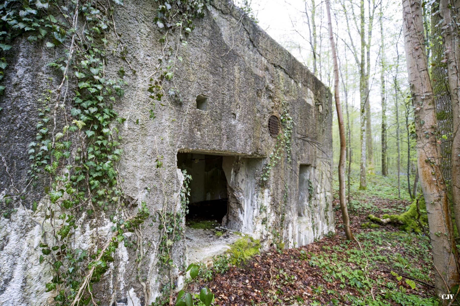 Ligne Maginot - A13 - SAINT MICHEL - (Blockhaus pour canon) - 