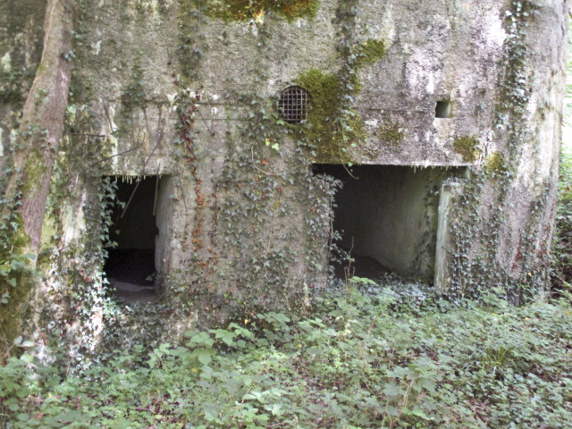 Ligne Maginot - A14 - LE CHARBONNIER - (Blockhaus pour canon) - 