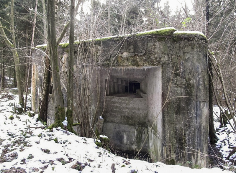 Ligne Maginot - A15 - LE BUCHERON - (Blockhaus pour canon) - 