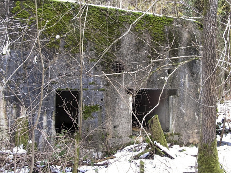 Ligne Maginot - A19 - CARREFOUR AMELIE EST - (Blockhaus pour canon) - Les entrées