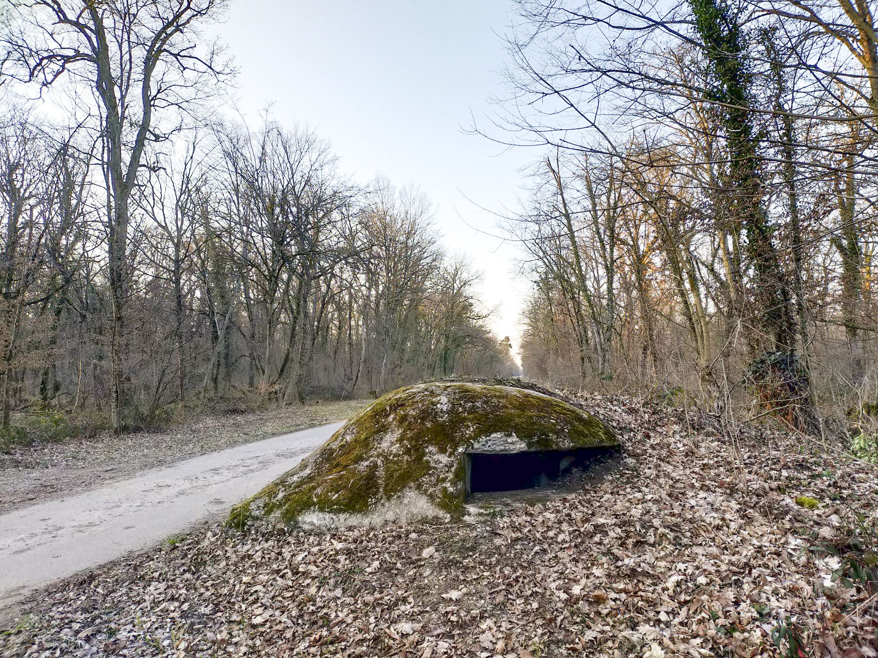 Ligne Maginot - PA DU CARREFOUR 252-1 - (Blockhaus pour arme infanterie) - 